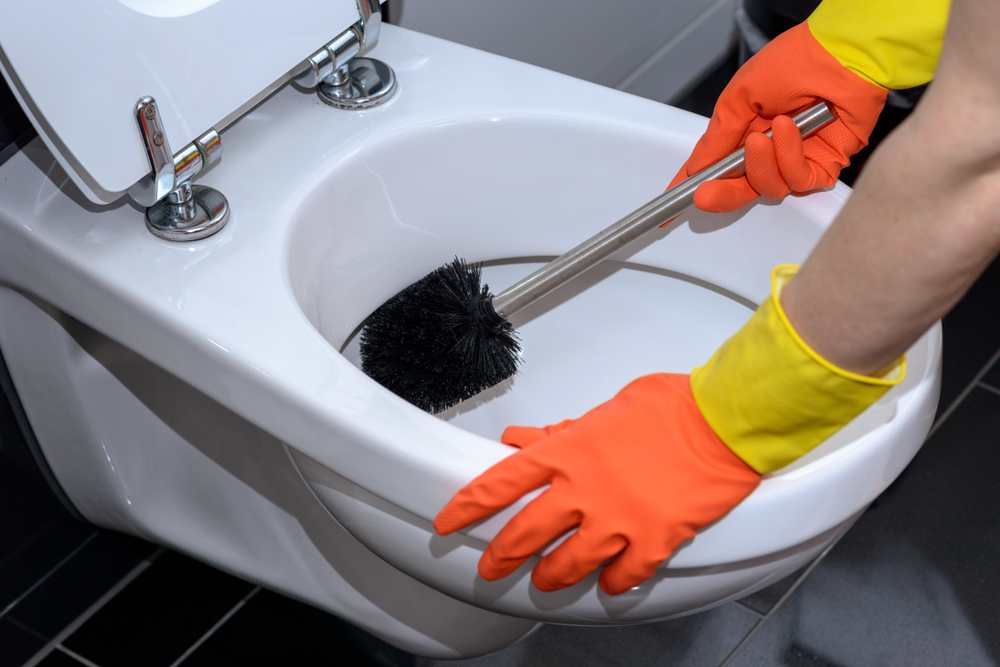 Why Do You Need to Clean Your Toilet | PCT Clean