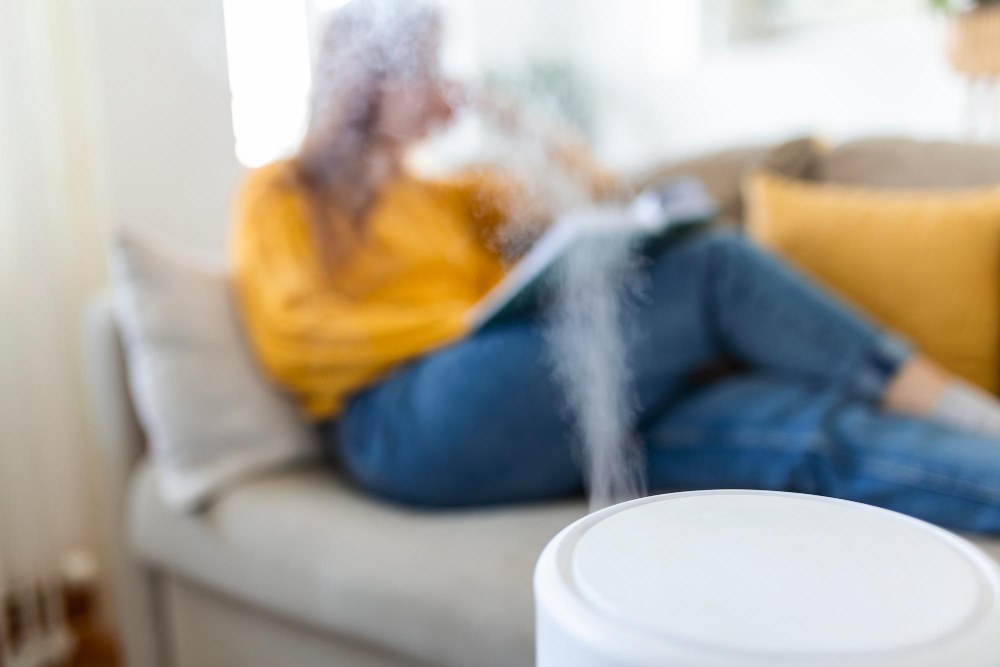 Do Humidifiers Work: Breaking Down the What, Why, and How